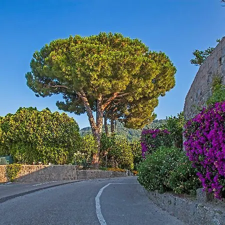 Otel Elma Park Terme & Casamicciola Terme